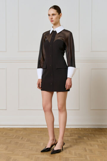 Dress with sheer details and buttons